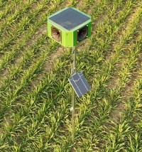 Precíziós vadkárelhárítás ökológiai felelősséggel: Innováció és kombinált védelem a Doxmand-tól