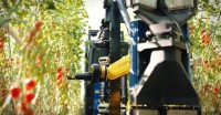 Robotok a sorok között - így zajlik a jövő betakarítása