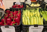 A Magyar Paprika Napja van, volt és lesz is